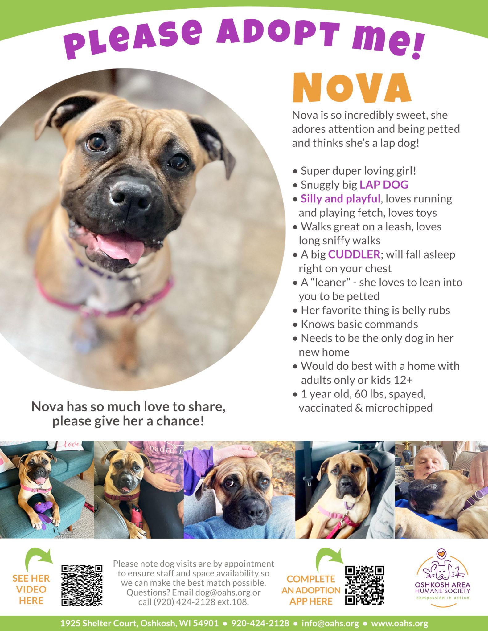 Home Page - Oshkosh Area Humane Society